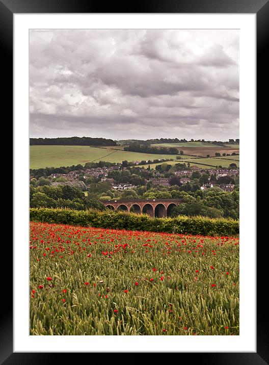 Poppies overlooking the Viaduct Framed Mounted Print by Dawn Cox