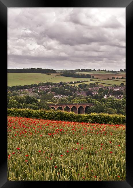 Poppies overlooking the Viaduct Framed Print by Dawn Cox