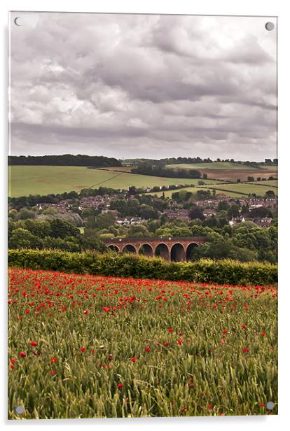 Poppies overlooking the Viaduct Acrylic by Dawn Cox