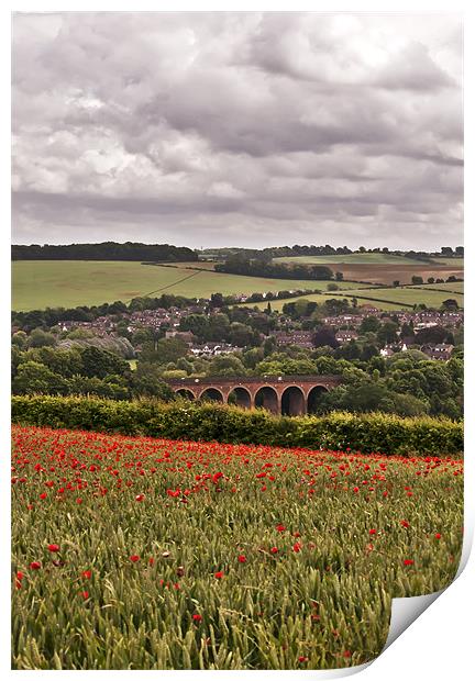 Poppies overlooking the Viaduct Print by Dawn Cox