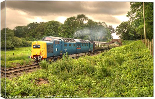 Deltic in Somerset Canvas Print by Rob Hawkins