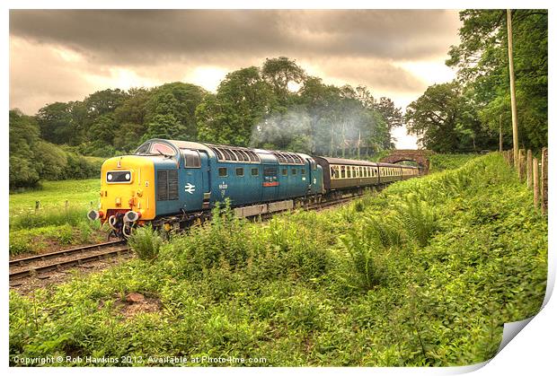 Deltic in Somerset Print by Rob Hawkins