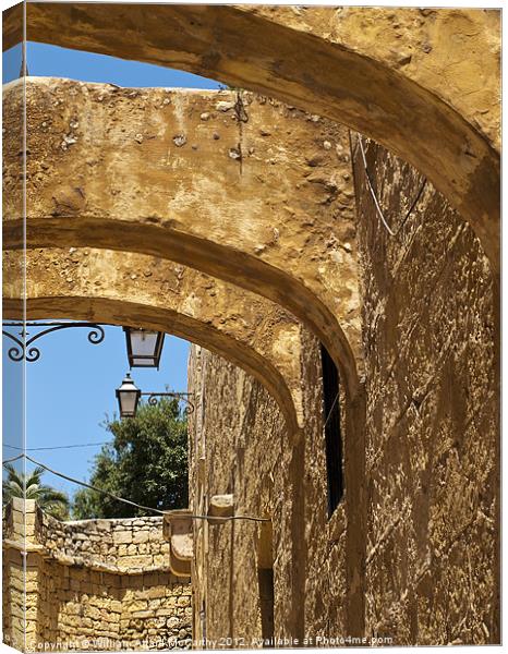 The Arches Canvas Print by William AttardMcCarthy