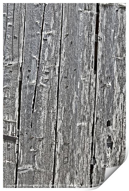 Aged Timber Print by William AttardMcCarthy