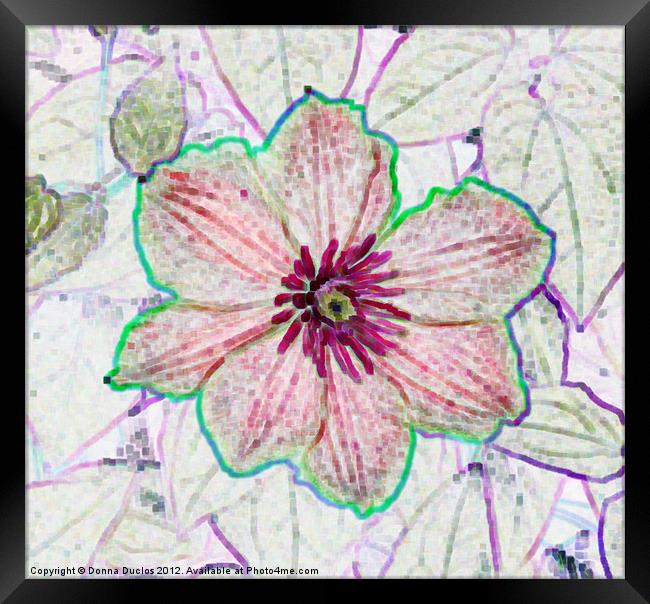 Flower Art Framed Print by Donna Duclos