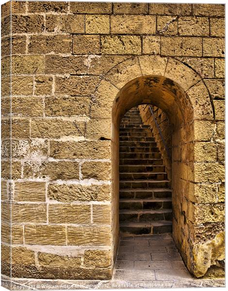 Castle Doorway Canvas Print by William AttardMcCarthy