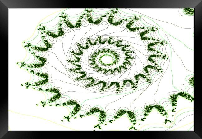 Nautilus fractal Framed Print by David Pyatt
