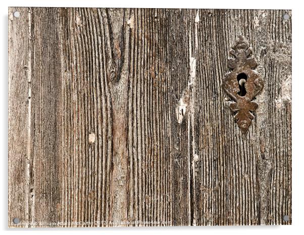 Old Door Texture Acrylic by William AttardMcCarthy