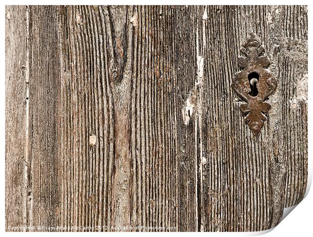 Old Door Texture Print by William AttardMcCarthy