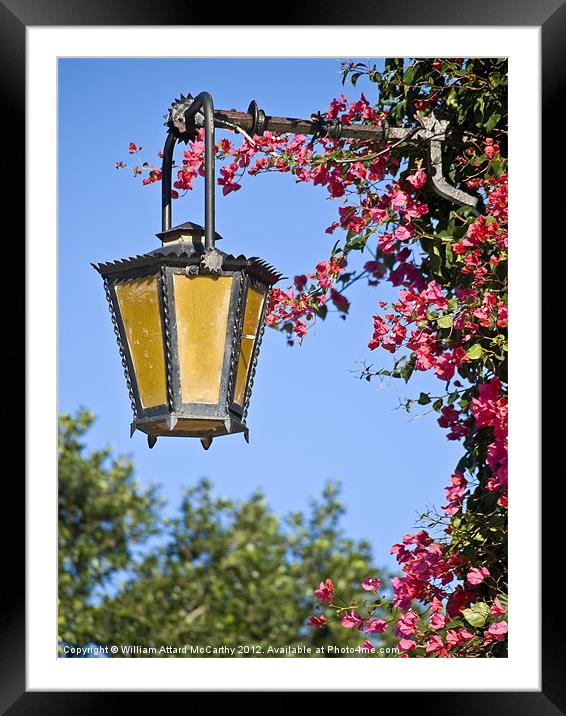 Street Lamp Framed Mounted Print by William AttardMcCarthy