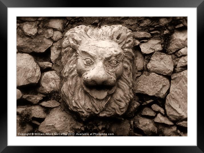 Lionface Framed Mounted Print by William AttardMcCarthy