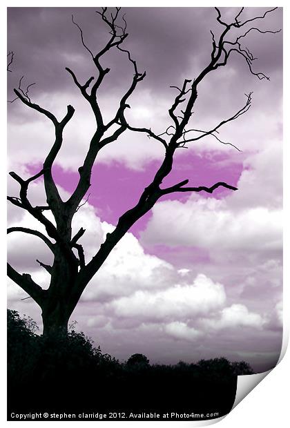 Purple sky tree Print by stephen clarridge