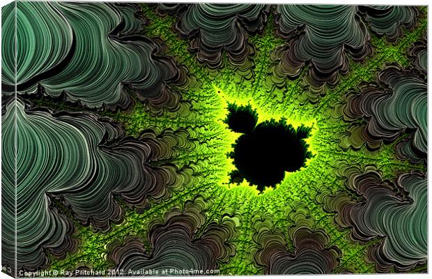 3D Thread Fractal Canvas Print by Ray Pritchard