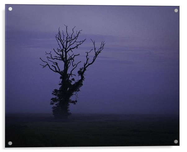 Minimalist Tree in Mist Acrylic by Buster Brown