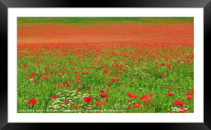 Poppies In Oxfordshire Framed Mounted Print by Colin Williams Photography
