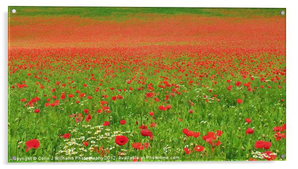 Poppies In Oxfordshire Acrylic by Colin Williams Photography