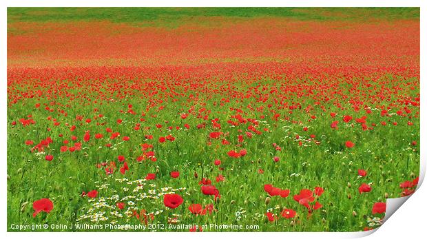Poppies In Oxfordshire Print by Colin Williams Photography