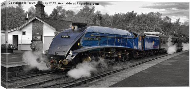 Steam Train    Sir Nigel Gresley Canvas Print by Trevor Kersley RIP