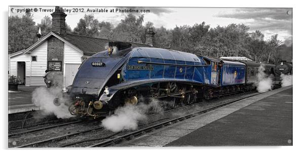 Steam Train    Sir Nigel Gresley Acrylic by Trevor Kersley RIP