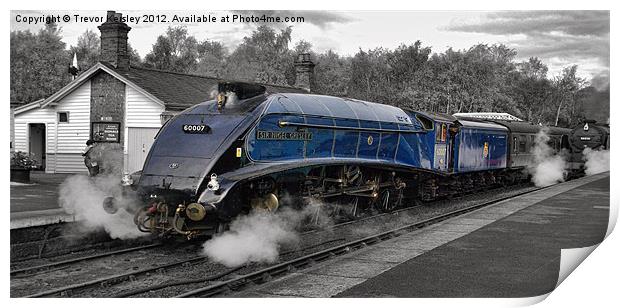 Steam Train    Sir Nigel Gresley Print by Trevor Kersley RIP