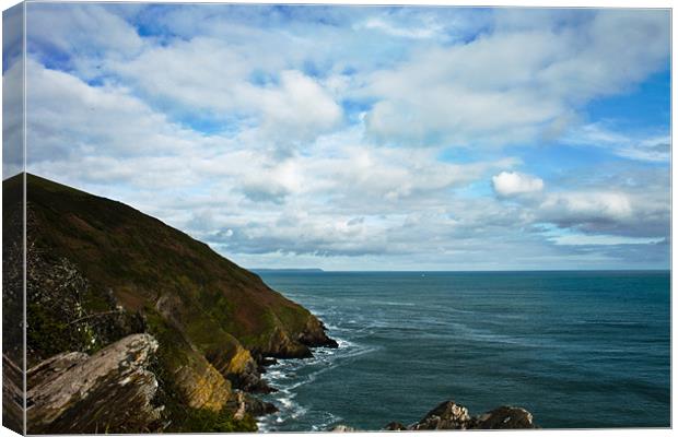 Cliffs overlooking Polperro Cornwall Canvas Print by Ian Jones