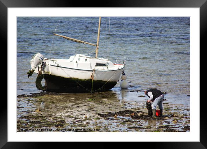 Fisherman Of Roscoff Framed Mounted Print by Ade Robbins