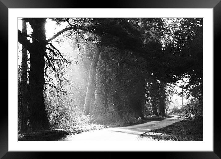 Beams of light Framed Mounted Print by Gary Pearson