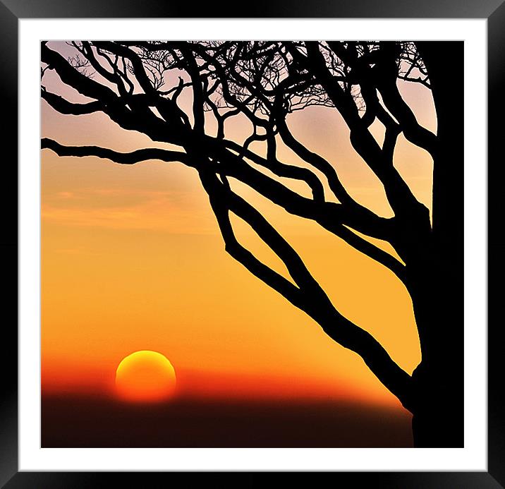 Sunset Framed Mounted Print by Jamie Keith