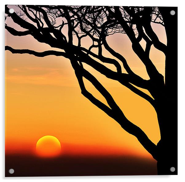 Sunset Acrylic by Jamie Keith
