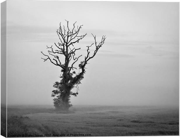 Minimalist Tree in Mist BW Canvas Print by Buster Brown