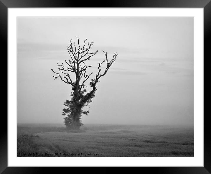 Minimalist Tree in Mist BW Framed Mounted Print by Buster Brown