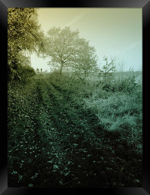 autumn walk Framed Print by Heather Newton