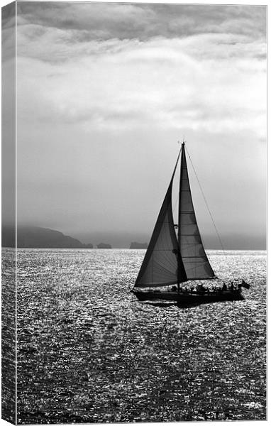 Yacht and the Isle of Wight Canvas Print by Ian Jones