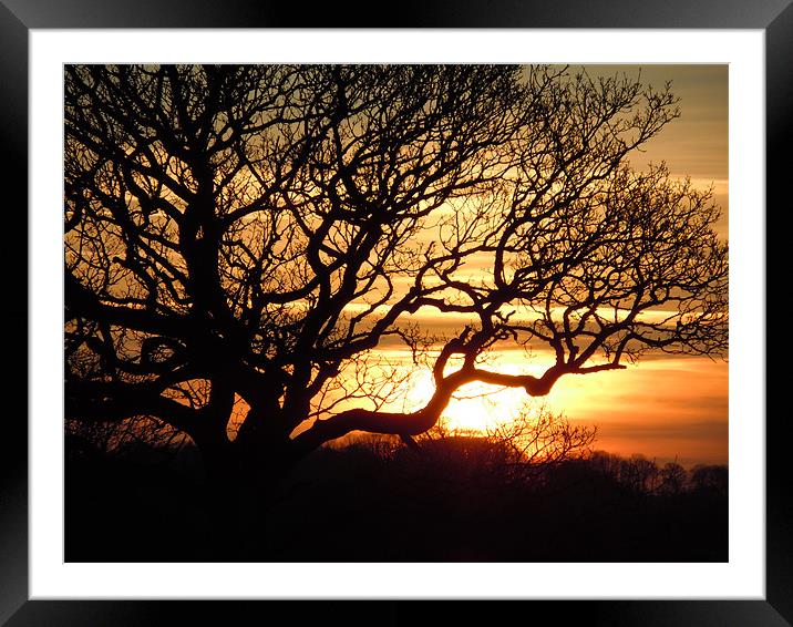 Dusk at Home Framed Mounted Print by peter gornall