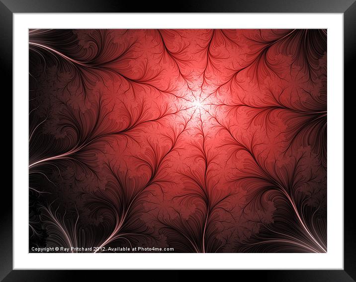 Thread Fractal Framed Mounted Print by Ray Pritchard