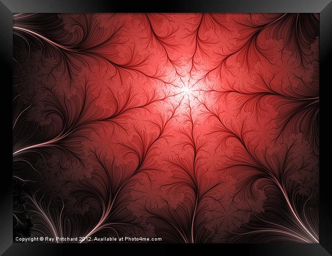 Thread Fractal Framed Print by Ray Pritchard