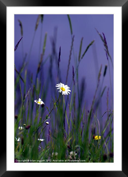 Hiding in the long grass Framed Mounted Print by Brian  Raggatt
