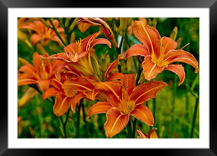 monet's lillies Framed Mounted Print by Jo Beerens