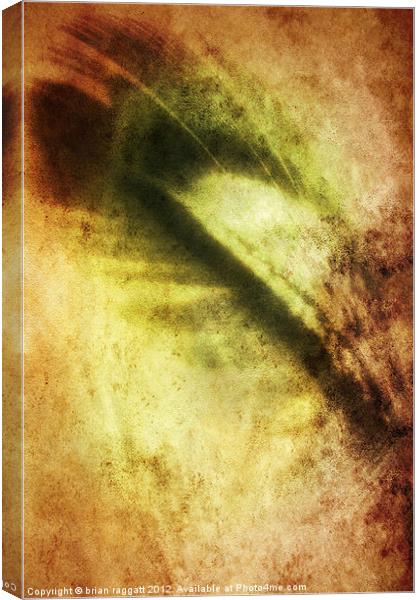 Feather abstract Canvas Print by Brian  Raggatt