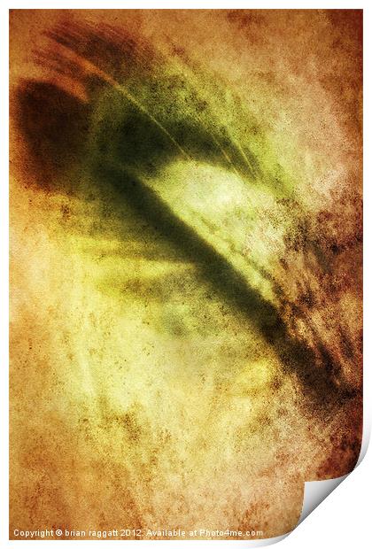 Feather abstract Print by Brian  Raggatt