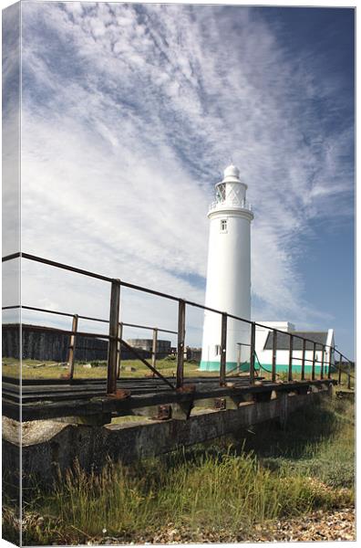 Hurst Spit Lighthouse Canvas Print by Ian Jones