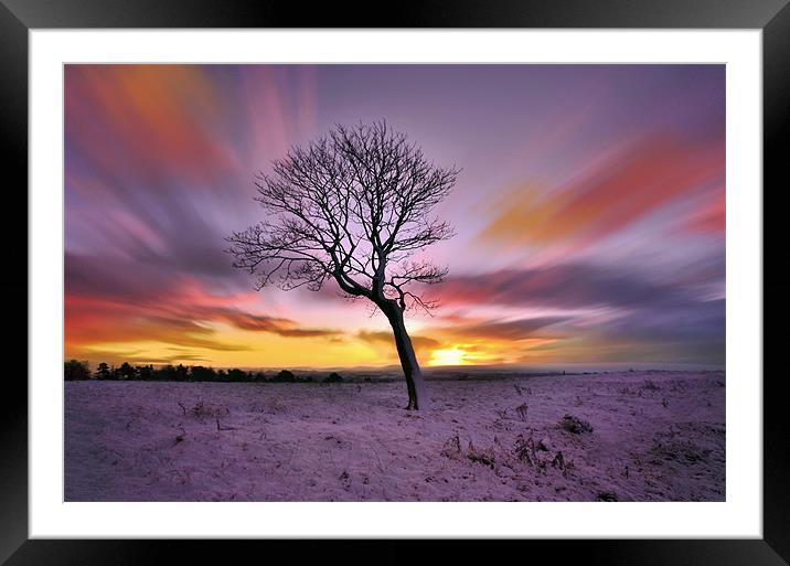 Winter-Tree Framed Mounted Print by Jamie Keith