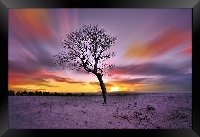 Winter-Tree Framed Print by Jamie Keith