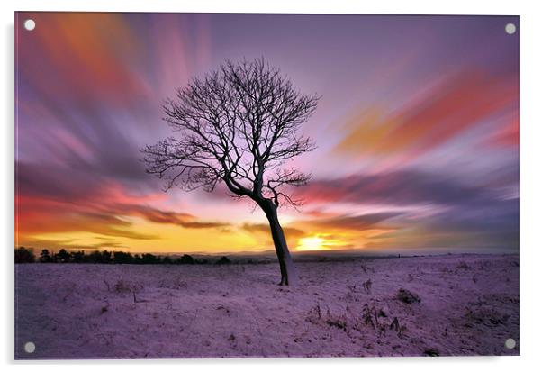 Winter-Tree Acrylic by Jamie Keith