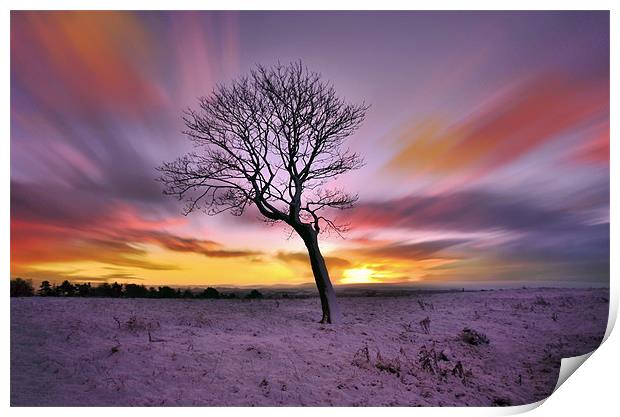 Winter-Tree Print by Jamie Keith
