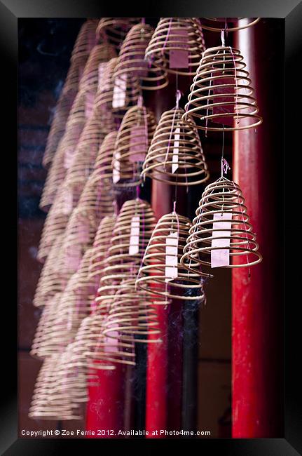 Chinese Incense Coils Framed Print by Zoe Ferrie