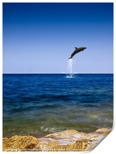 Flight of the Dolphin Print by William AttardMcCarthy