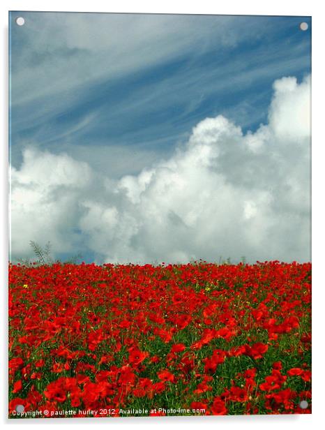 Poppy Field in Bloom.Pembrokeshire. Acrylic by paulette hurley