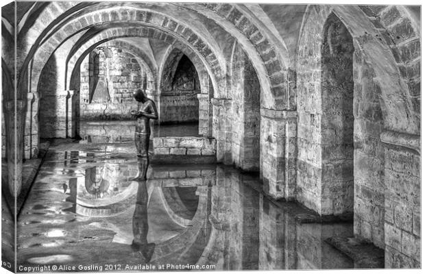 Winchester Cathedral Crypt Canvas Print by Alice Gosling