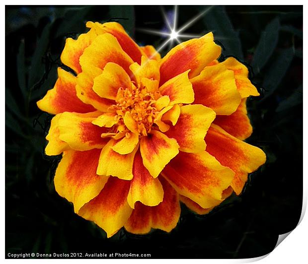 Yellow and Orange Print by Donna Duclos